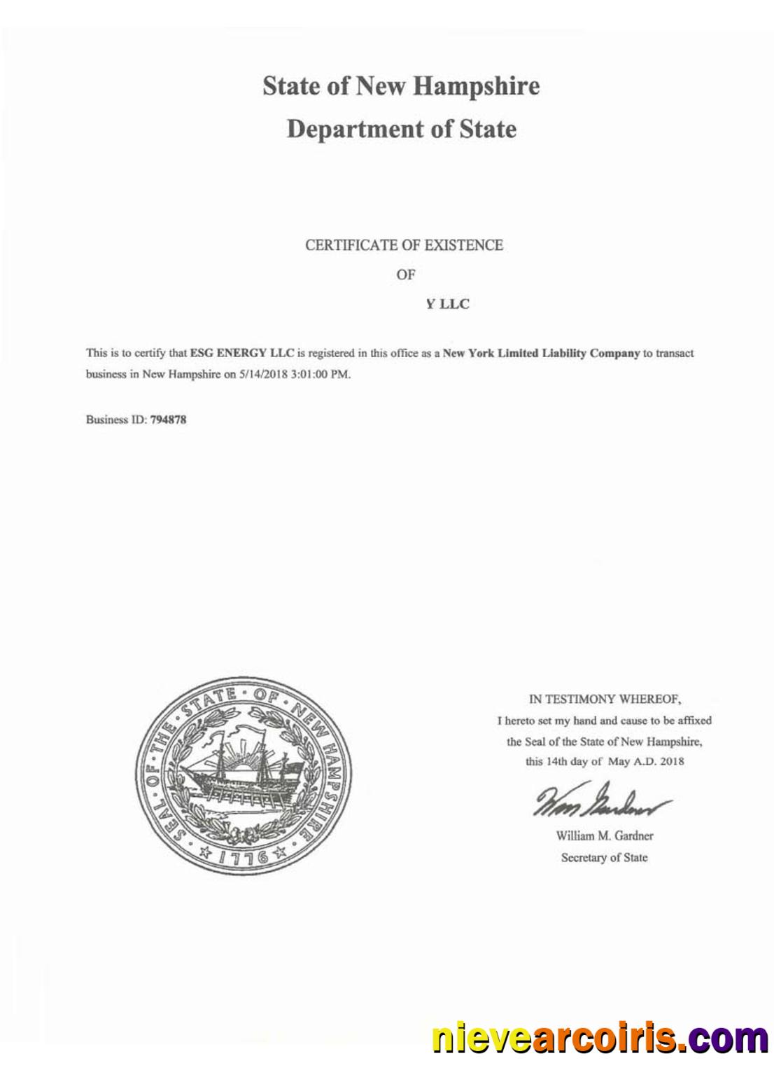 USA New Hampshire certificate of good standing